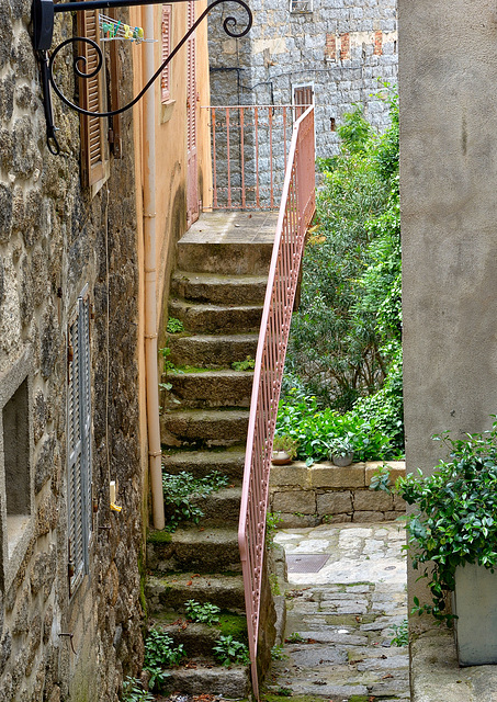 The pink fence