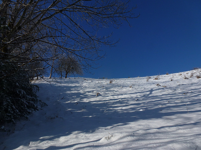 20150101 -03 Raquettes Vercors (4)