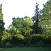 Fulbourn garden 2011-05-02