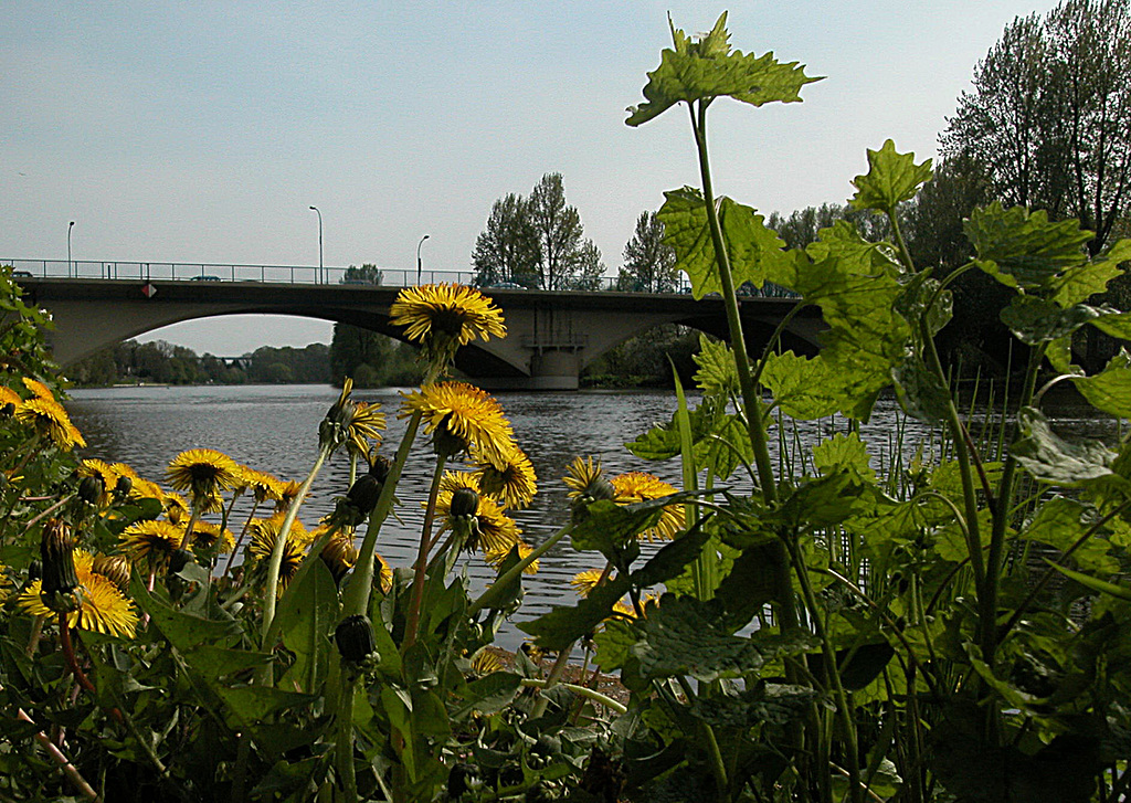 Frühling an der Ruhr