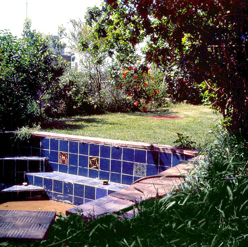 Swimming pool in the garden ...Ein Kerem