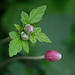 DSCF3204