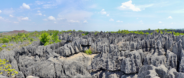 P1230711- Panorama du sommet des Tsingy - Grands Tsingy de Bemaraha  08 novembre 2019