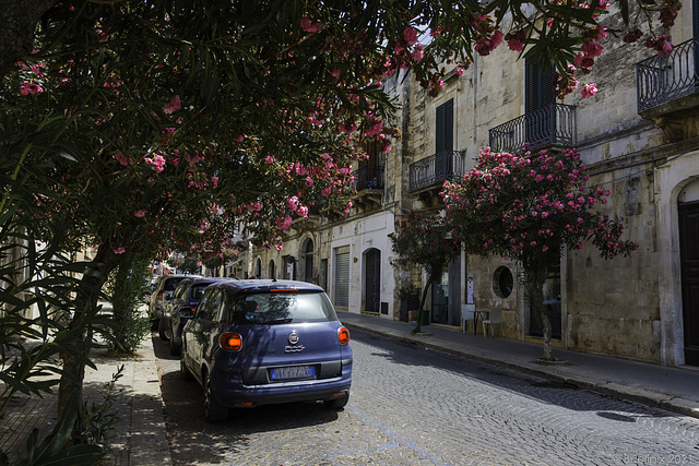 in den Gassen von Ostuni (© Buelipix)