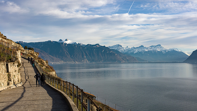 221228 Lavaux 5