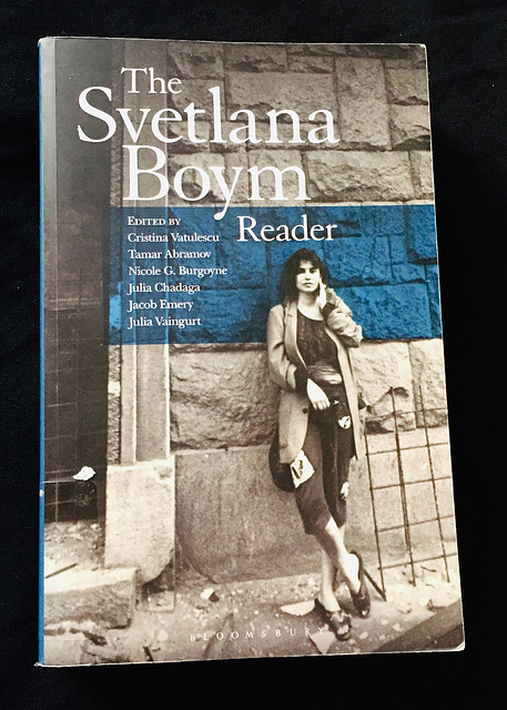 The Sevtlana Boym Reader