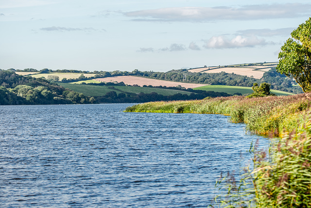 Slapton Leigh - 20150902