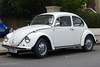 NW3 Beetle (2) - 16 October 2015