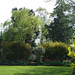 Fulbourn garden 2011-04-11 003