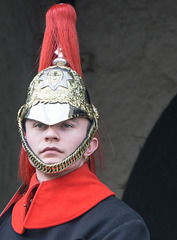 Sentry at Horse Guards Parade 1