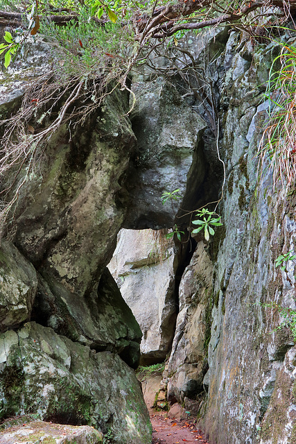 Von Ribeiro Frio nach Portela (13)