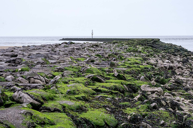 Groyne at New Brighton