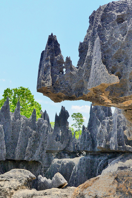 P1230730- Crêtes des Tsingy - Grands Tsingy de Bemaraha  08 novembre 2019