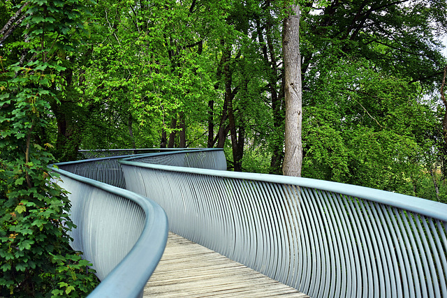 The Viper Elevated Walkway ~ HFF