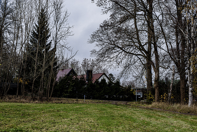 20231118_benneckenstein spaziergang