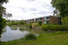 Dordrecht - Monarda (achterzijde)