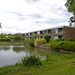 Dordrecht - Monarda (achterzijde)