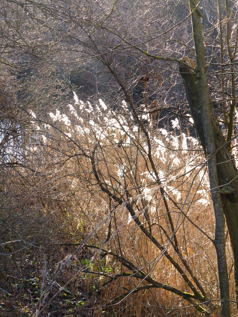 an der Wertach