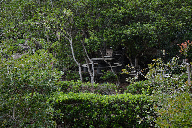 Azores, The Island of Pico, A Place for Barbecue in the Woods