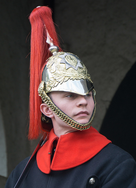 Sentry at Horse Guards Parade 2