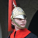 Sentry at Horse Guards Parade 2