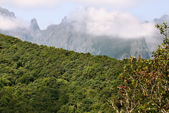 Von Ribeiro Frio nach Portela (14)