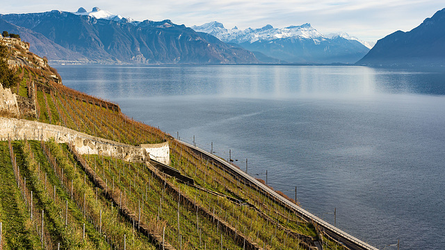 221228 Lavaux 7