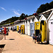 Beach Huts ~ Lyme Regis