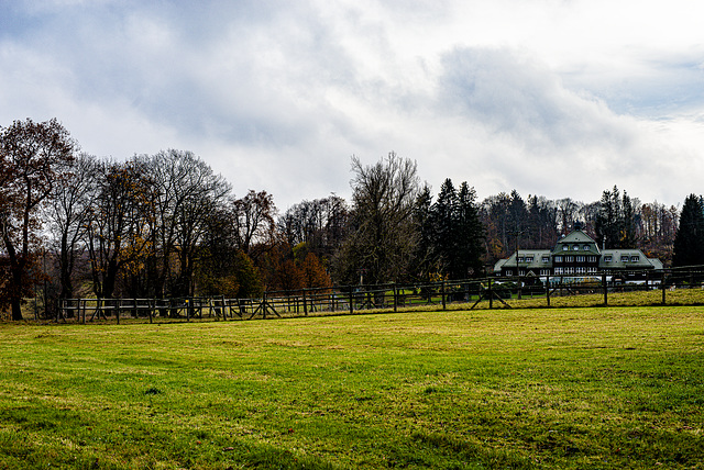 20231118_benneckenstein spaziergang