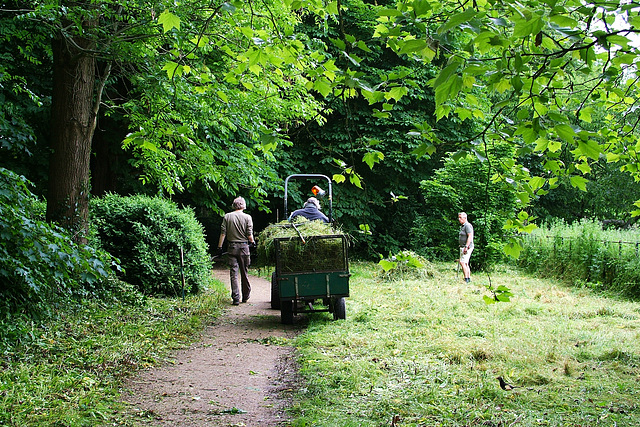 Gardeners