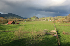 Umpqua Valley