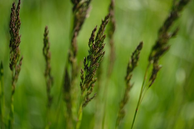 DSCF6863 DSCF6863