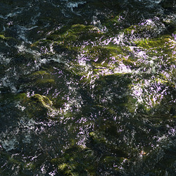 da rauscht's da rauscht's