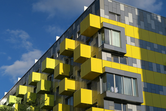 IMG 3411-001-Yellow Balcony Boxes