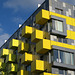 IMG 3411-001-Yellow Balcony Boxes