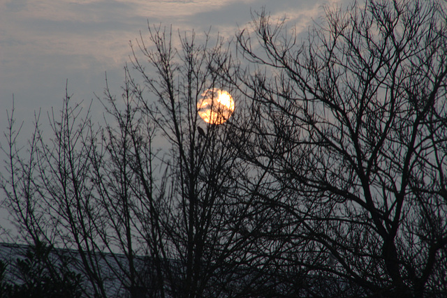 photo prise en voiture