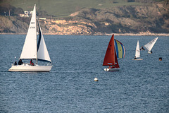 IMG 0174 Sailing dpp