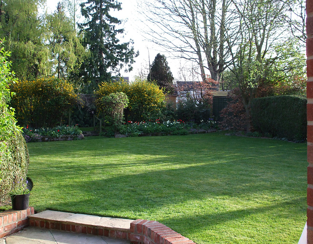 Fulbourn garden 2011-04-09 007