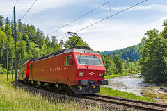 120527 SZU Sihlwald-Langnau D