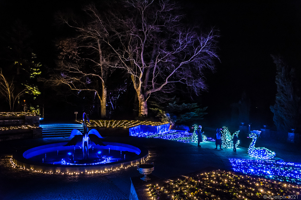 pls. view on black background → Brunnenarena ... Christmas Garden @ Insel Mainau (Konstanz-Bodensee) (© Buelipix)