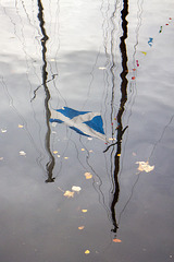 Saltire Reflction