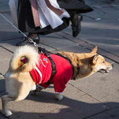 17. Mai