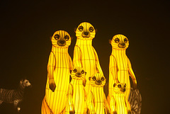L'Odyssée lumineuse (3)