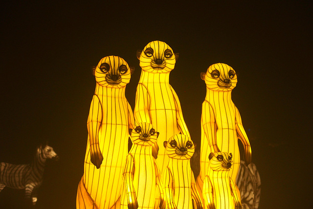 L'Odyssée lumineuse (3)