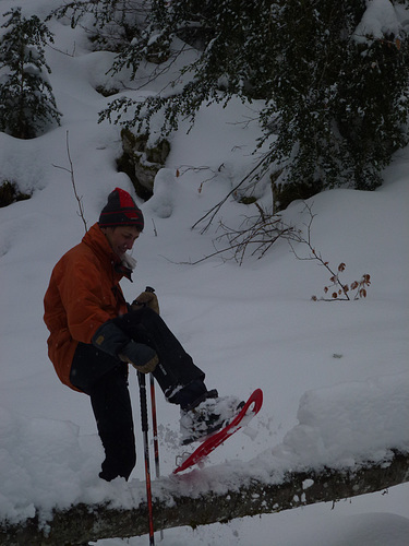 20150131 Raquettes Vercors La Goulandiere (90) al