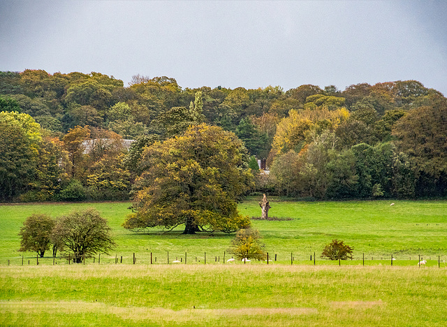 Autumn colours3