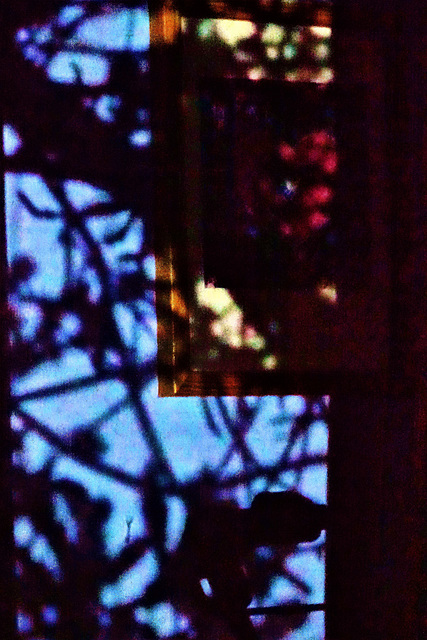 Shadows On My Bedroom Wall