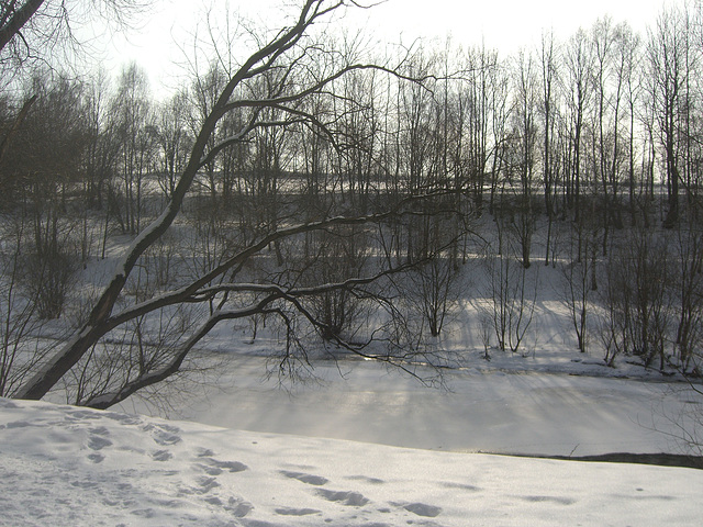 Spuren im Schnee