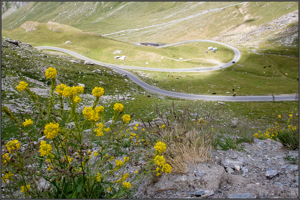 Abfahrt vom Coll dell'Agnello