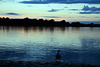 Abendstimmung am Oberrhein bei Söllingen